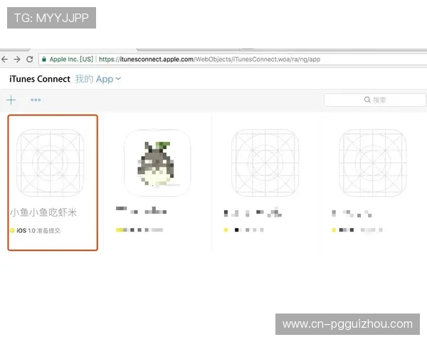 pgyer官网入口官方最新入口地址，确保用户安全访问和下载优质游戏资源